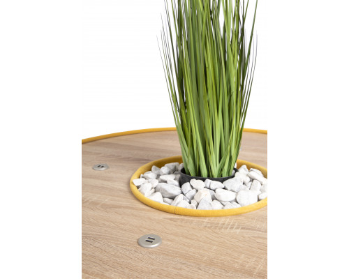 Тумба круглая высокая, с отверстием посередине, 4хUSB розетки Avenue 6.5 Wood